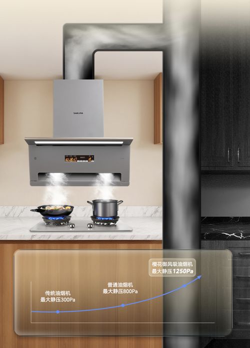 樱花御风吸油烟机Q660M