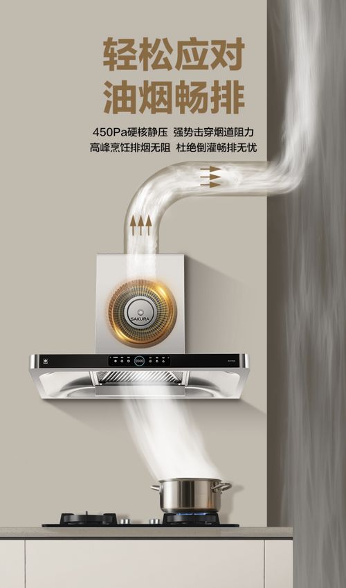 樱花吸油烟机T302A