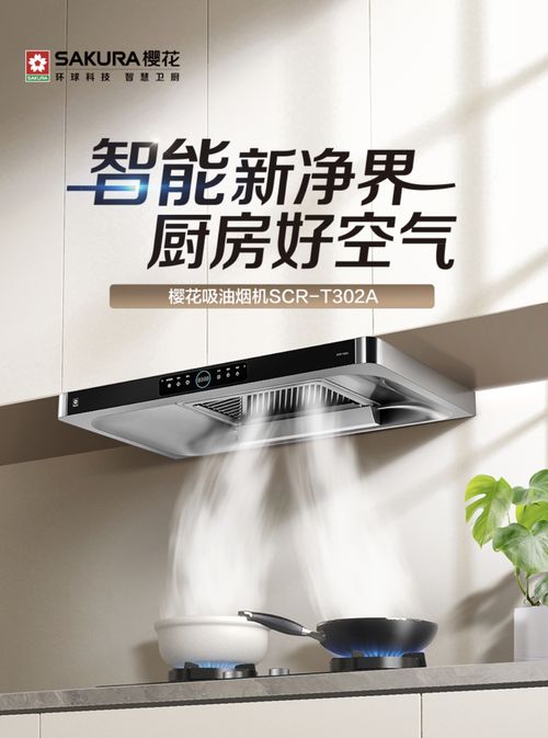 樱花吸油烟机T302A