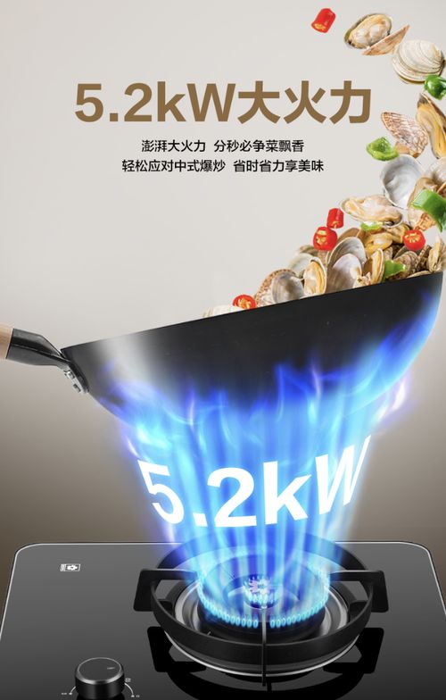 樱花燃气灶S507GA