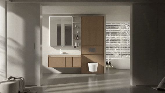 Dongpeng Smart Bathroom System