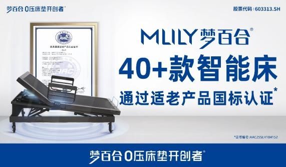 梦百合M090安颐功能椅