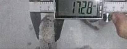 瓷砖胶使用不当图片