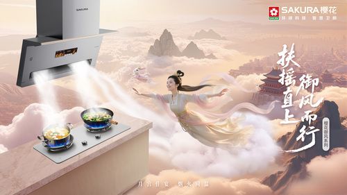 樱花御风系列烟灶套装