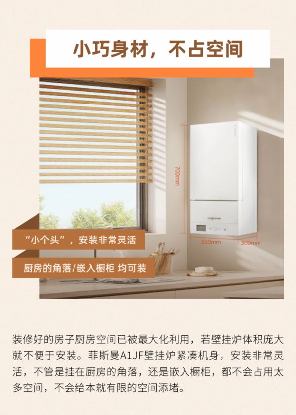 Compact Body of Franzisman A1JF Wall Hang Boiler