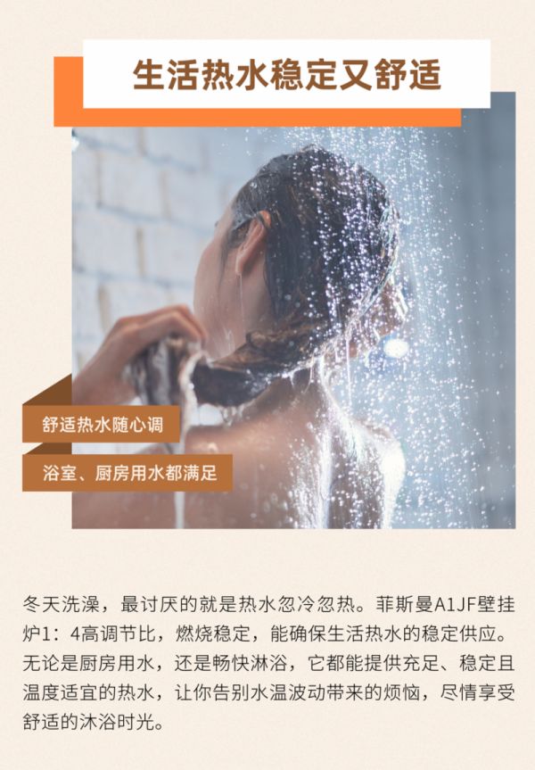 Stable Domestic Hot Water Supply of Franzisman A1JF Wall Hang Boiler