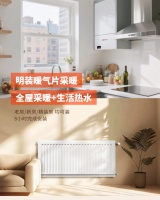 明装暖气壁挂炉选购指南，菲斯曼A1JF壁挂炉实力出圈！