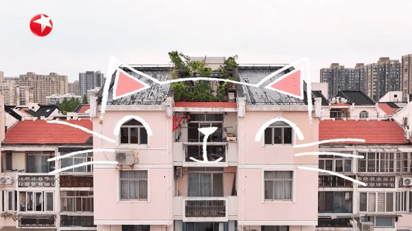 Problematic Cat Ear House