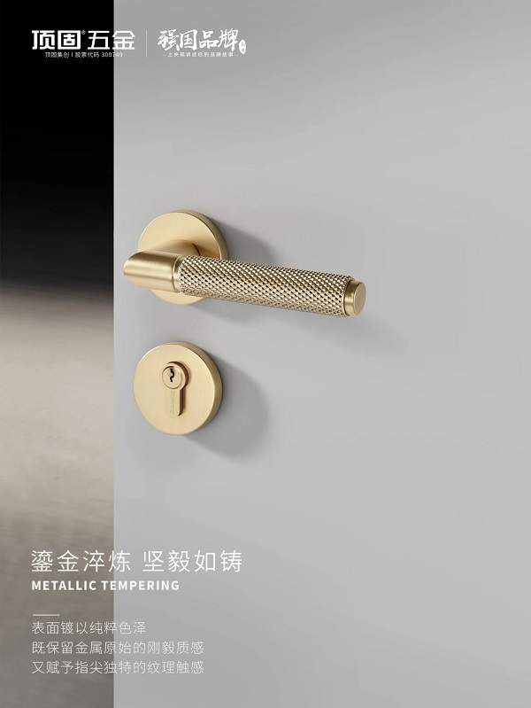 Top Guard Qingtianzhu Series Door Lock Detail