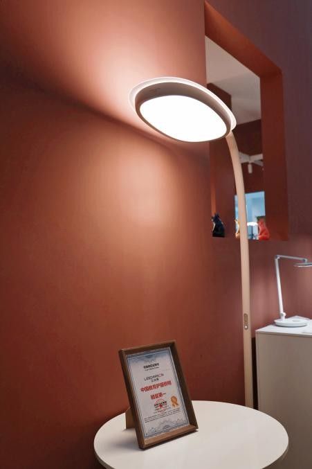 立达信萤火虫大路灯