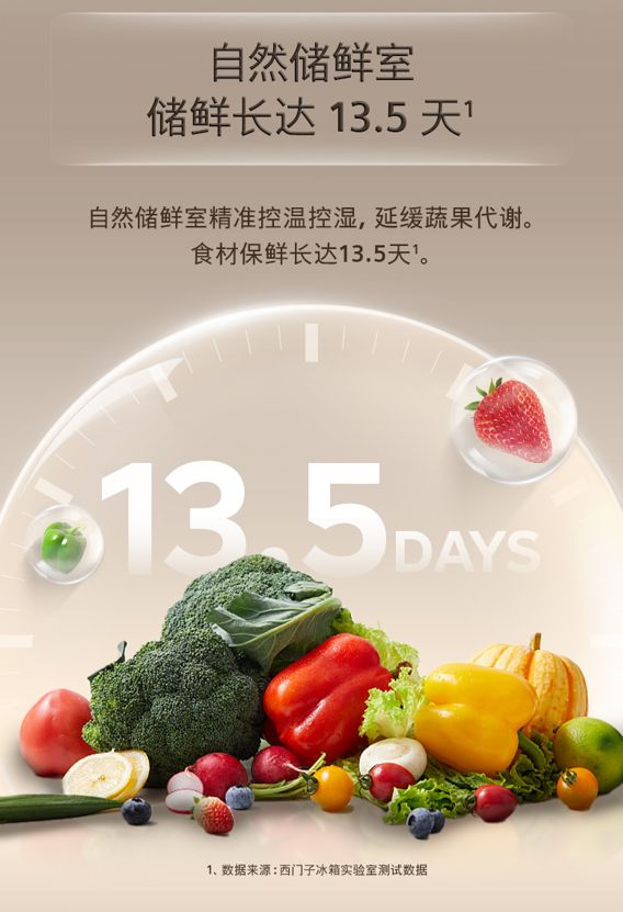 Siemens Bona Zhenxin Refrigerator Image 3