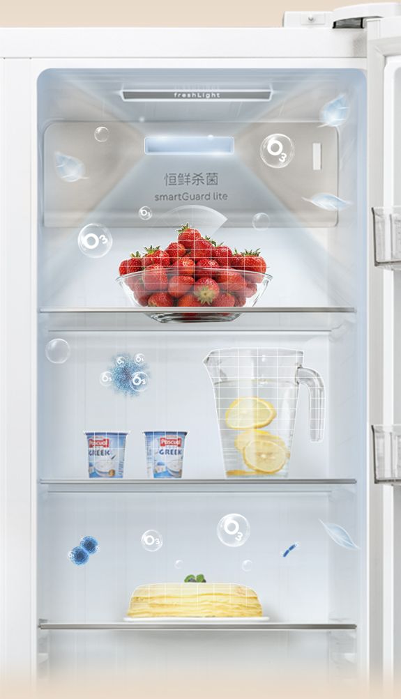 Siemens Bona Zhenxin Refrigerator Image 4