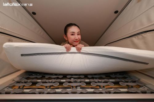 Lattoflex 乐德飞翼车载睡眠系统