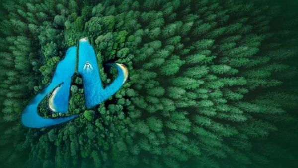 质量管理体系照片