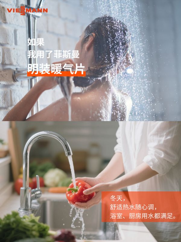 Fiserman Wall-Mounted Boiler