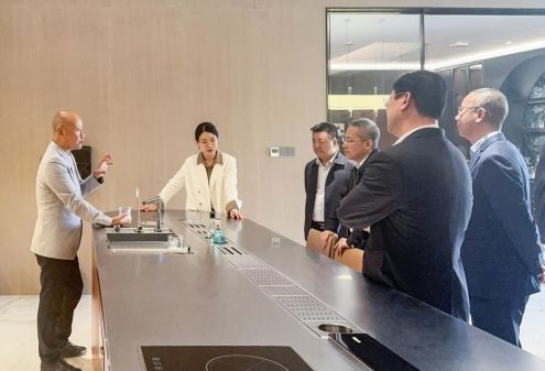 法迪奥参观场景