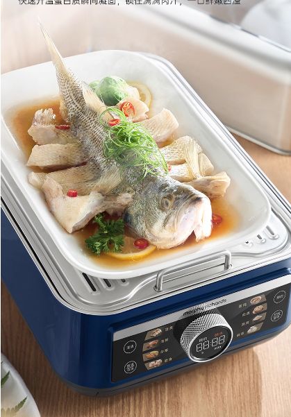 Morphy Richards Full Steel Quick Steam Pot - High Temperature Steam