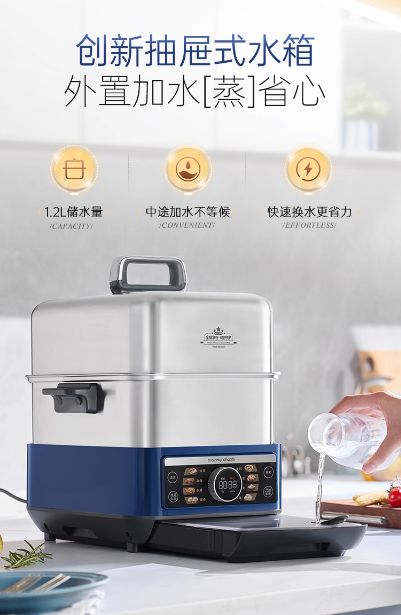 Morphy Richards Full Steel Quick Steam Pot - Detail Design