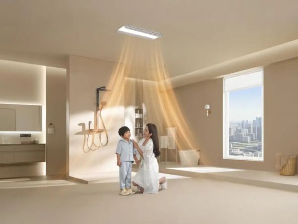 Armitage Smart Bathtub