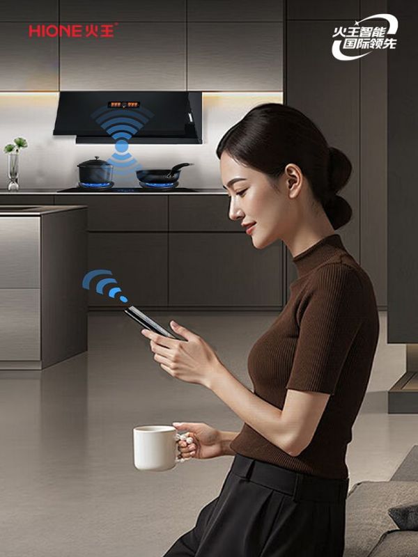 Fire King Smart Stove Features