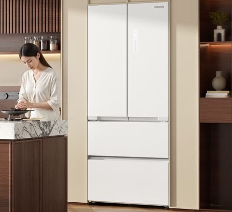 Toshiba Refrigerator with Dual System