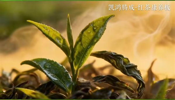 凯鸿腾成沉香木香板使用寿命