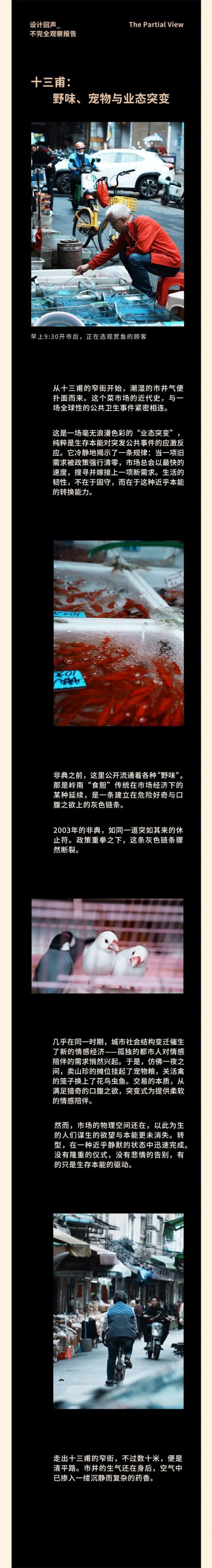 Elegant Property Image 2