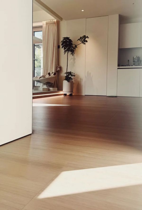 蔡文静的家公共区域夹层