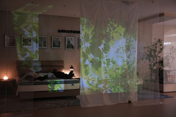 Therapedic Healing Event