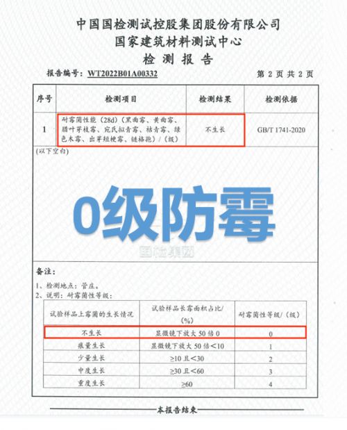 Antifungal Performance