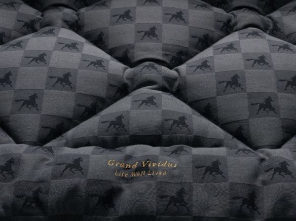 海丝腾drēmər追梦床图片