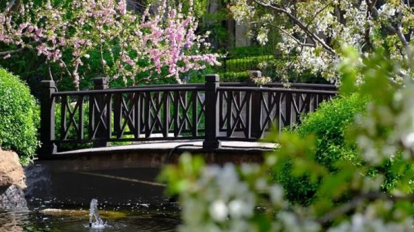 Winding Path at Xinghe Bay