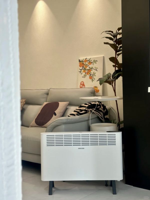 Convection Heater Image