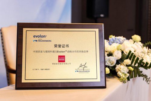 Guojia Home Anti-mite Cloud Film