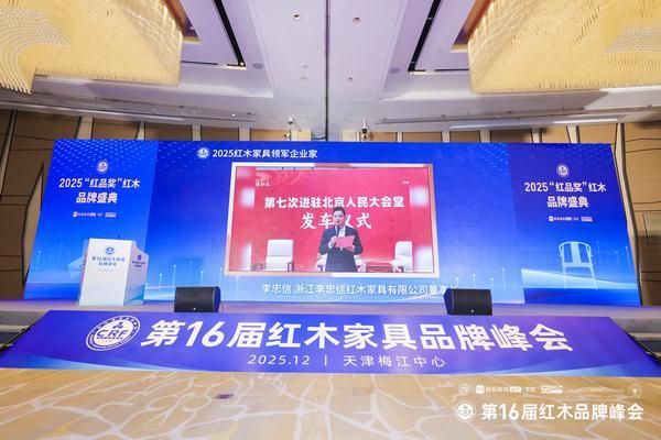 峰会颁奖典礼照片