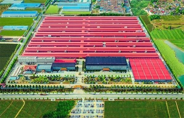 Exquisite Redwood Furniture National Factory