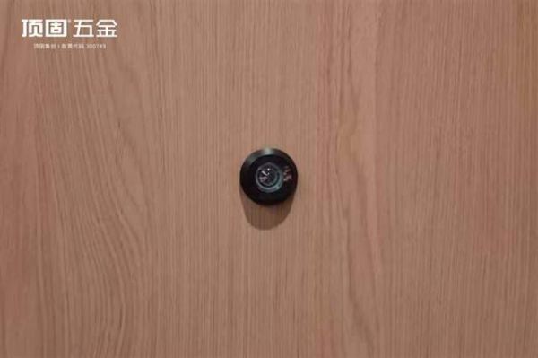 Door Hardware Details