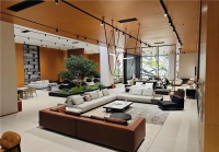 设计师眼中的画巢：专业者为何愿意主动推荐？