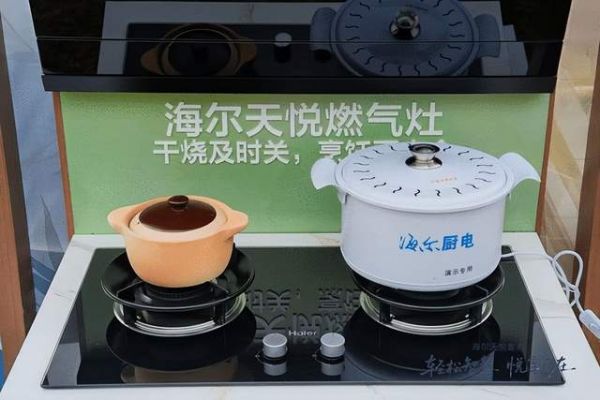 Haier Smart Stove