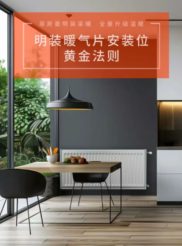 明装暖气片示意图