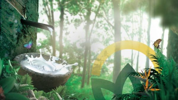 中胶永生生产基地