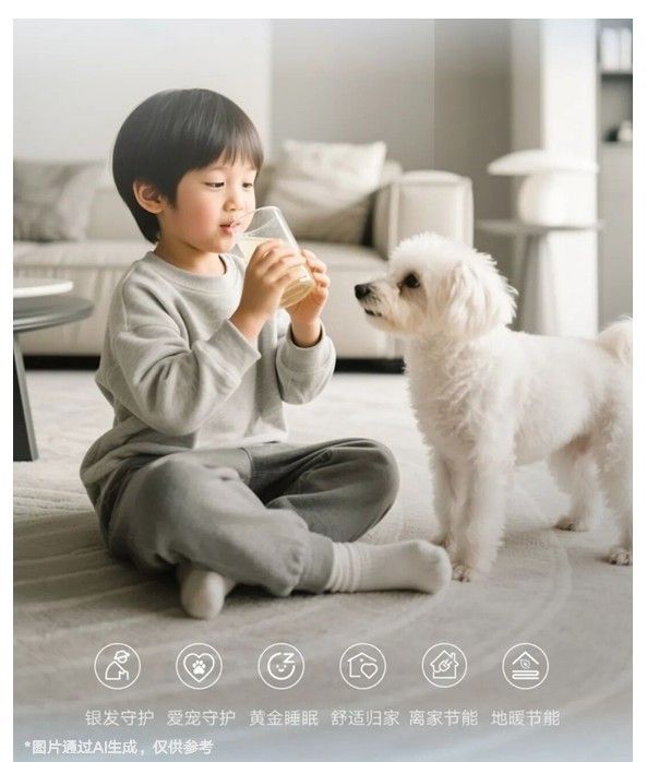 Daikin Central Air System