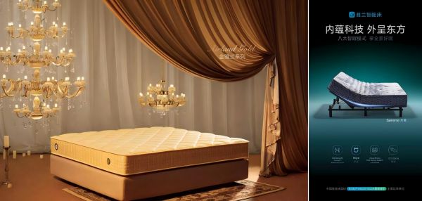 雅兰60周年庆典图片