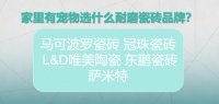 2026口碑瓷砖品牌，宠物家耐磨瓷砖推荐