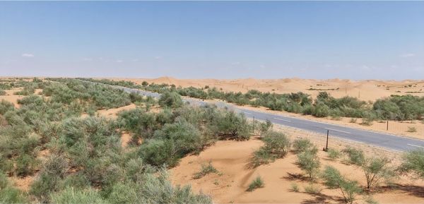 飞宇节能气候门窗加入阿拉善SEE生态协会