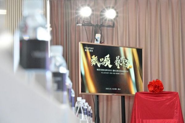 VillaePaint甄图艺墅家品牌启航一周年庆典图片