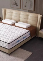 2026热门床垫实测：腰椎党&租房族必看 精准适配不花冤枉钱