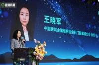 王会长谈铝门窗：美学焕新，绿色领航