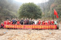 绿意盎然·万象板材2026植树节行动盛启