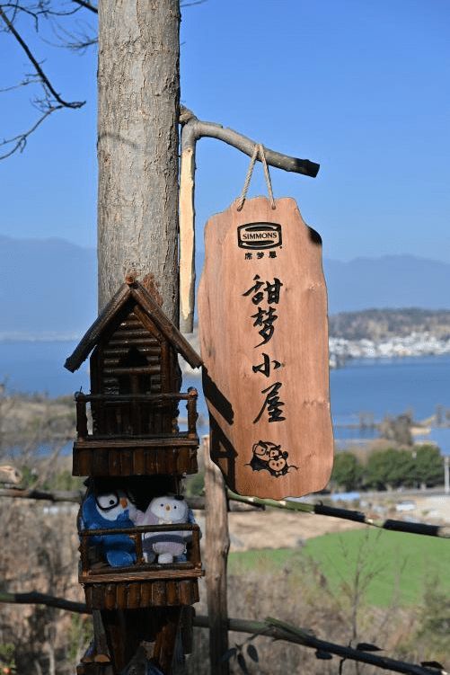 Simmons®席梦思活动图片